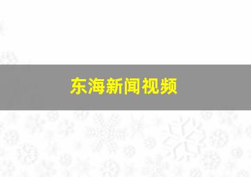 东海新闻视频