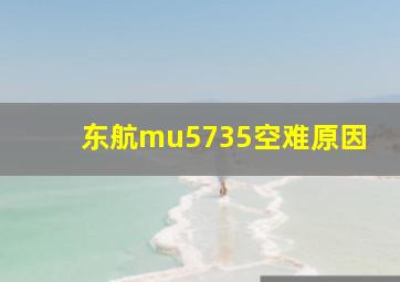 东航mu5735空难原因