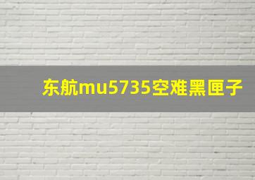 东航mu5735空难黑匣子