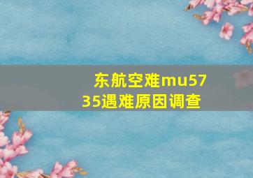 东航空难mu5735遇难原因调查