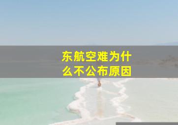 东航空难为什么不公布原因