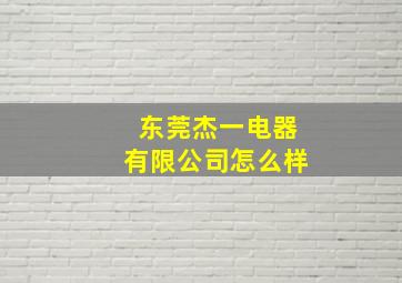 东莞杰一电器有限公司怎么样