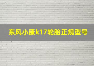 东风小康k17轮胎正规型号