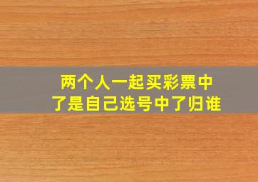 两个人一起买彩票中了是自己选号中了归谁