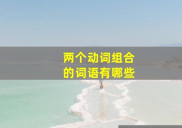 两个动词组合的词语有哪些