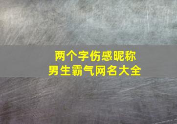 两个字伤感昵称男生霸气网名大全