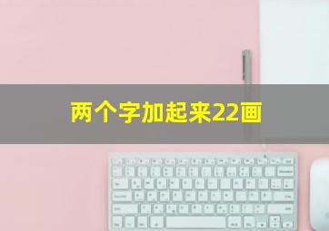 两个字加起来22画