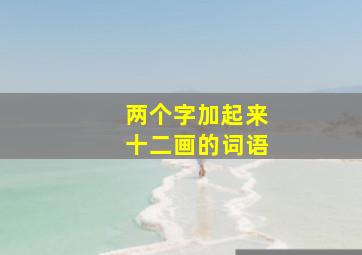 两个字加起来十二画的词语