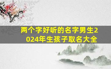 两个字好听的名字男生2024年生孩子取名大全