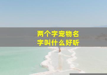 两个字宠物名字叫什么好听