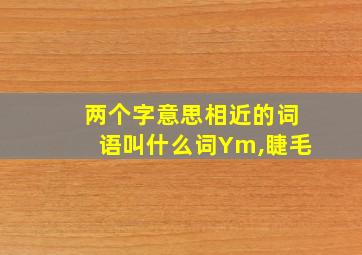 两个字意思相近的词语叫什么词Ym,睫毛