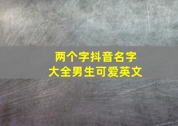 两个字抖音名字大全男生可爱英文