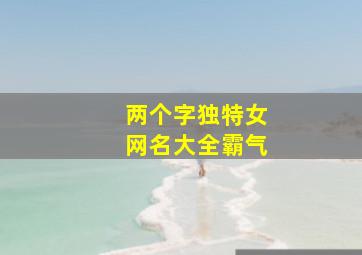 两个字独特女网名大全霸气