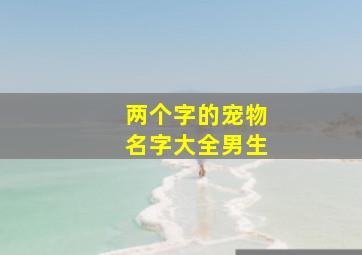 两个字的宠物名字大全男生