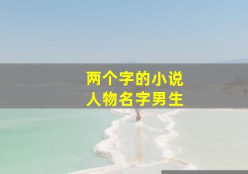 两个字的小说人物名字男生