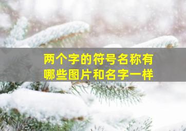 两个字的符号名称有哪些图片和名字一样