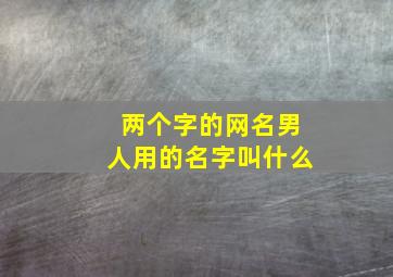 两个字的网名男人用的名字叫什么