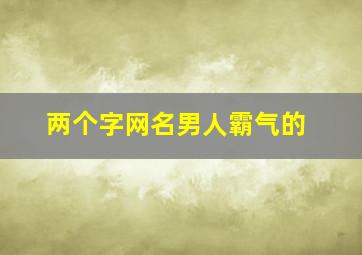 两个字网名男人霸气的