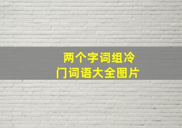 两个字词组冷门词语大全图片