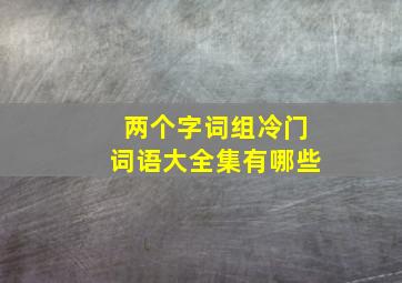 两个字词组冷门词语大全集有哪些