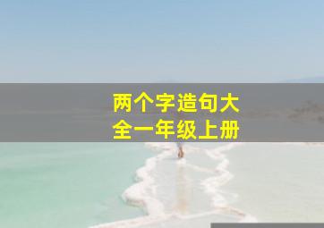 两个字造句大全一年级上册