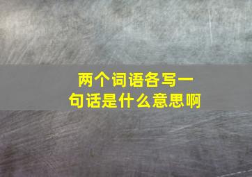 两个词语各写一句话是什么意思啊