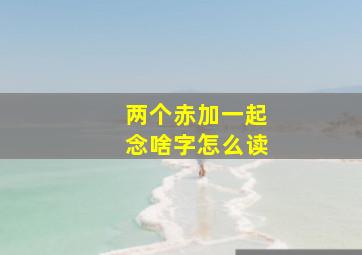 两个赤加一起念啥字怎么读