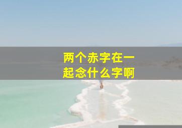 两个赤字在一起念什么字啊