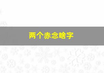 两个赤念啥字