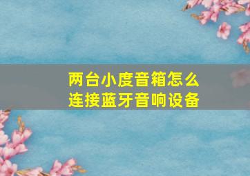 两台小度音箱怎么连接蓝牙音响设备