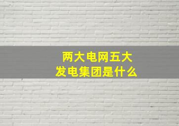 两大电网五大发电集团是什么