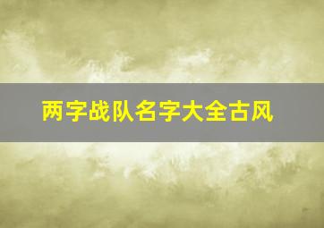 两字战队名字大全古风