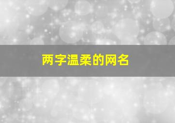 两字温柔的网名