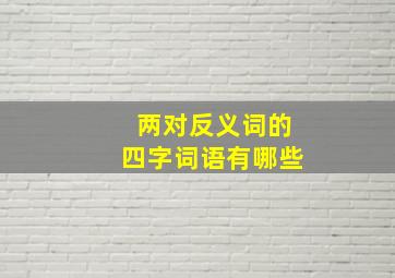 两对反义词的四字词语有哪些