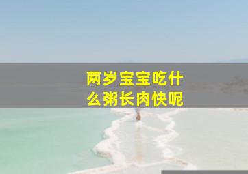 两岁宝宝吃什么粥长肉快呢