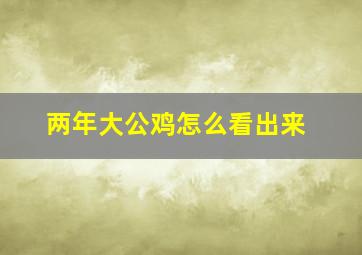 两年大公鸡怎么看出来