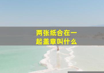 两张纸合在一起盖章叫什么