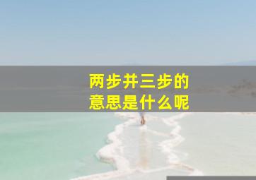 两步并三步的意思是什么呢