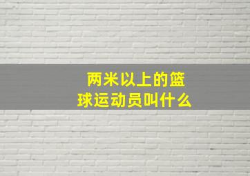 两米以上的篮球运动员叫什么