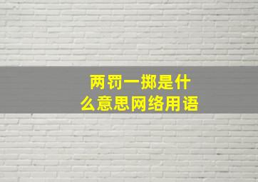 两罚一掷是什么意思网络用语