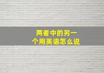 两者中的另一个用英语怎么说