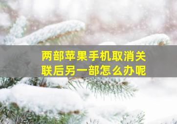 两部苹果手机取消关联后另一部怎么办呢