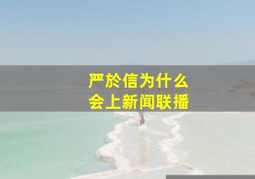 严於信为什么会上新闻联播