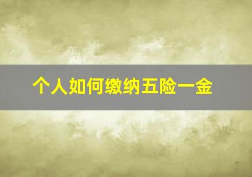 个人如何缴纳五险一金