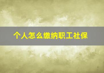 个人怎么缴纳职工社保