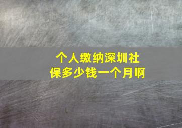 个人缴纳深圳社保多少钱一个月啊