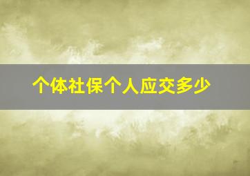 个体社保个人应交多少