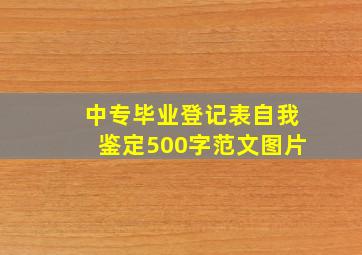 中专毕业登记表自我鉴定500字范文图片