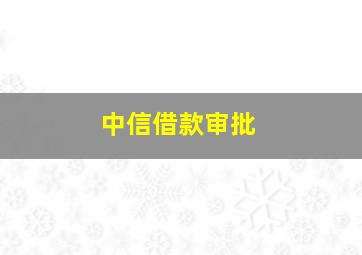 中信借款审批