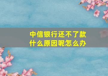 中信银行还不了款什么原因呢怎么办